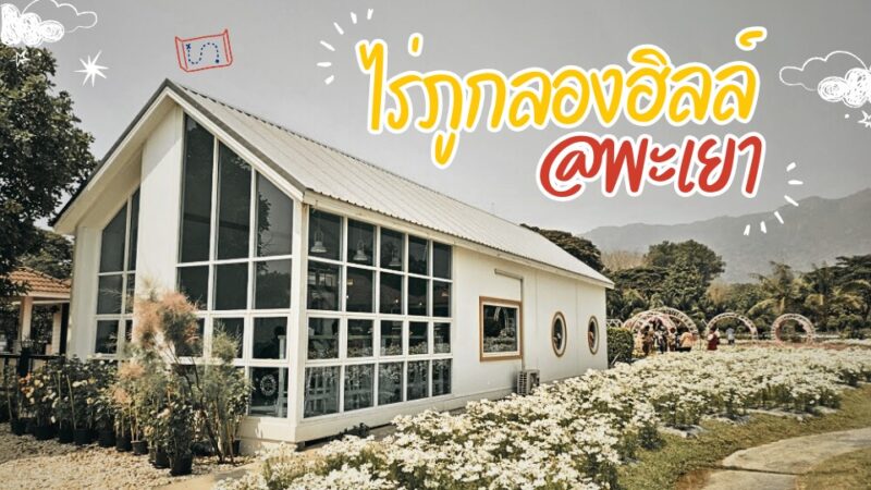 รีวิวที่เที่ยว ไร่ภูกลองฮิลล์ พะเยา