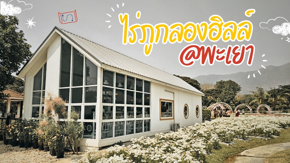 รีวิวที่เที่ยว ไร่ภูกลองฮิลล์ พะเยา