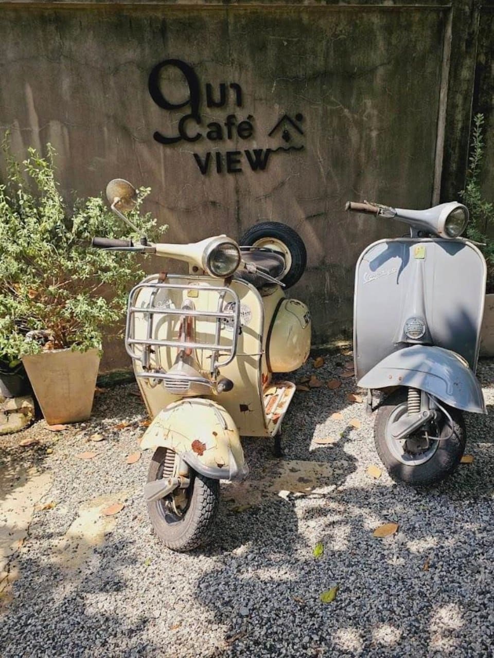 ร้าน 9มา Café & View แปดริ้ว