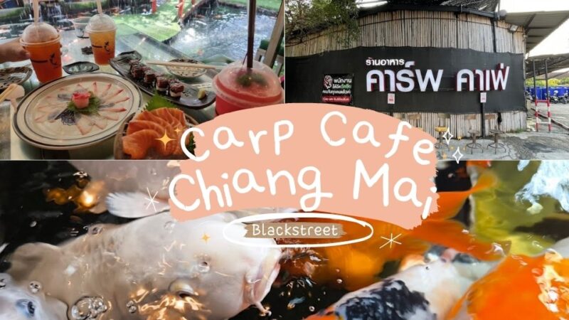 Carp Cafe Chiang Mai สวรรค์ของคนรักปลาคาร์ฟและคาเฟ่สุดชิลล์