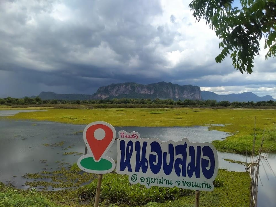 จุดเช็คอิน จุดชมวิวหนองสมอ