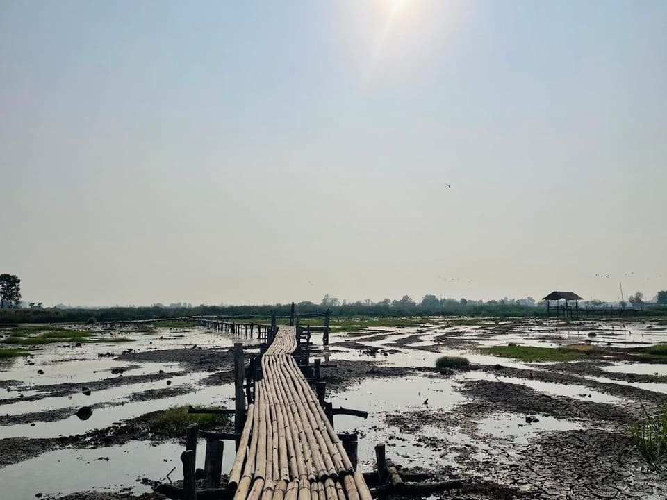 สะพานไม้ไผ่ จุดชมวิวหนองสมอ