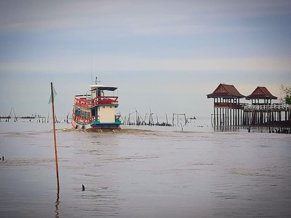 เรือสำหรับนั่งชมโลมาและวาฬบูรด้า