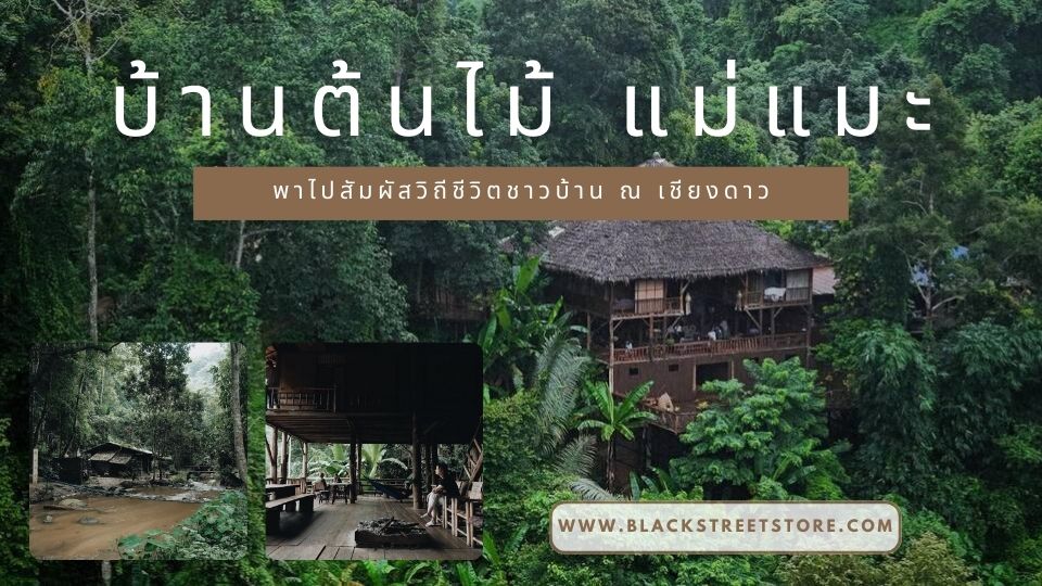 บ้านต้นไม้ แม่แมะ00 - บ้านต้นไม้แม่แมะ