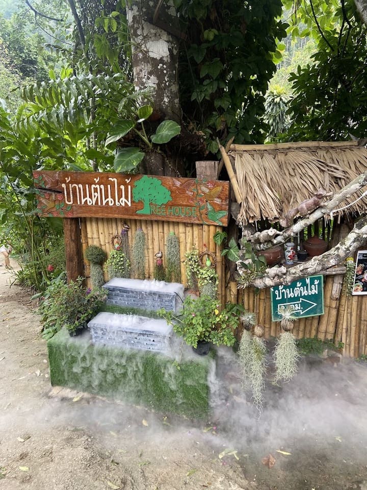 บ้านต้นไม้ เชียงดาว