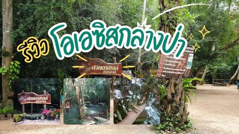 สวนตาสรรค์00 - ที่พักดอยช้าง