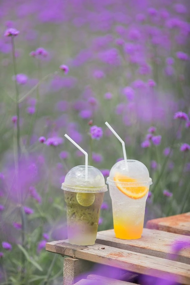 มีเมนูเครื่องดื่มและ ขนมน่าสนใจหลากหลายเมนูให้เลือกทาน  Hokkaido Flower Park Khaoyai