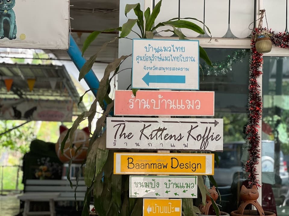 บ้านแมวไทย ที่เที่ยวสมุทรสงคราม