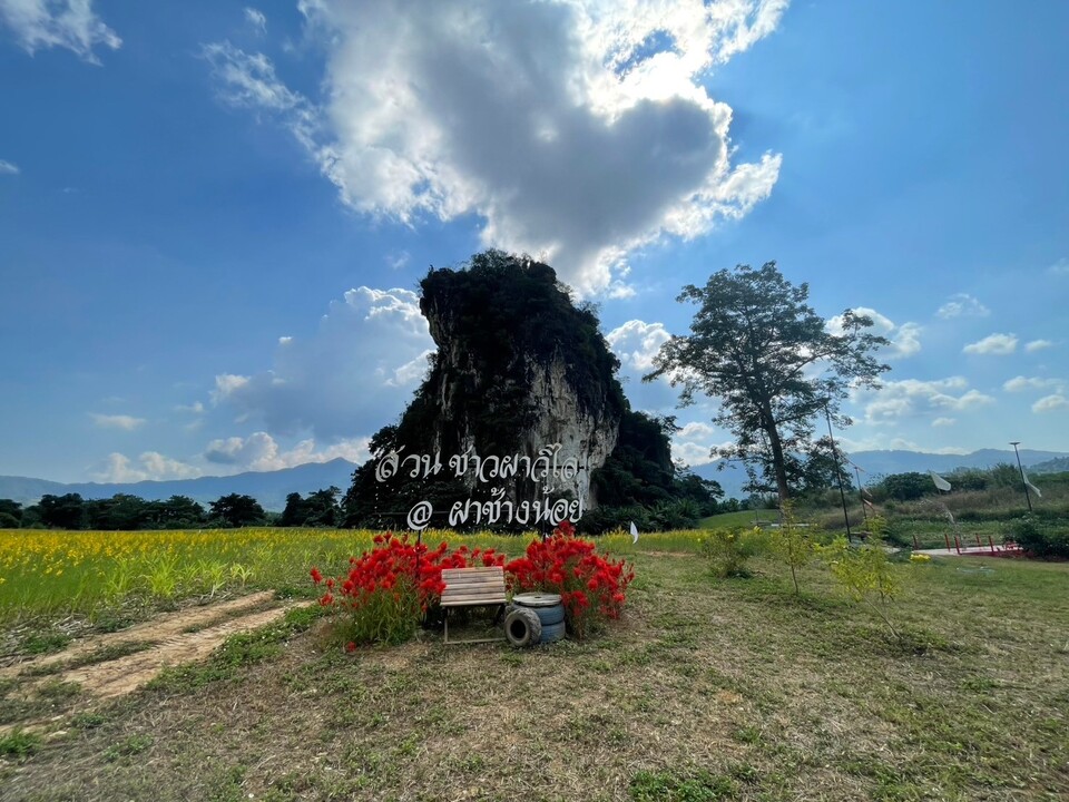 อากาศดี ไม่ร้อนเกินไป ภูลังกา