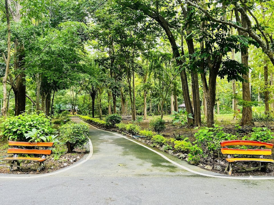 บรรยากาศดีมาก น้ำตกมวกเหล็ก